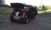 hunden elsker at k�re bil, ogs� selvom det larmer lidt.