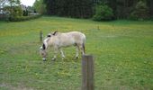 1 �gte HK!