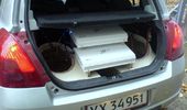 Lynhurtig kabling for at der er lyd i d�rene.. :)