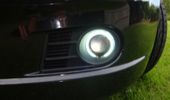 Celis ringe i t�gelygterne