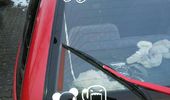 evil Domokun, evil panda og et plaster for alderen p� bilen ;)